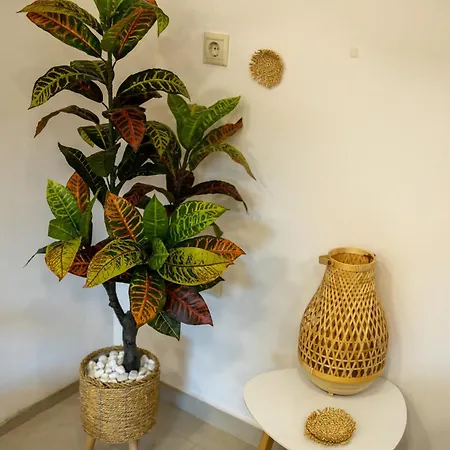 Lazareta 3